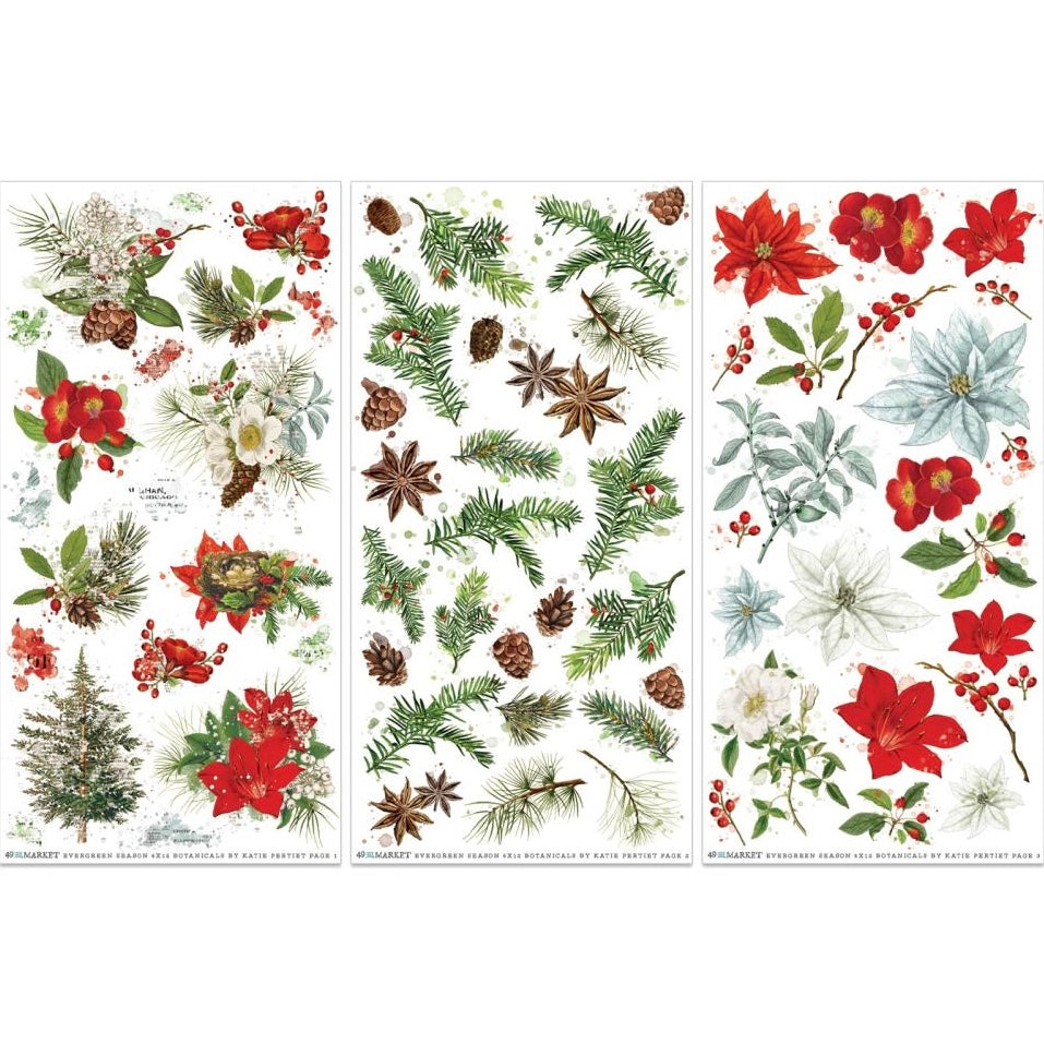 49 & Market Evergreen Season Botanical 6 x 12 Rub-On Transfer Set