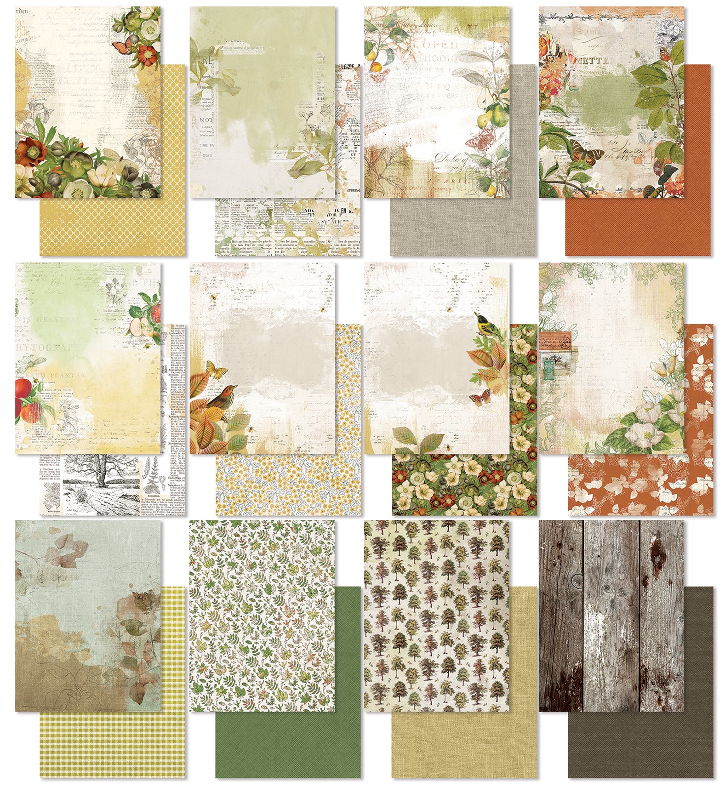 49 & Market Vintage Orchard 6 x 8 Collection Pack