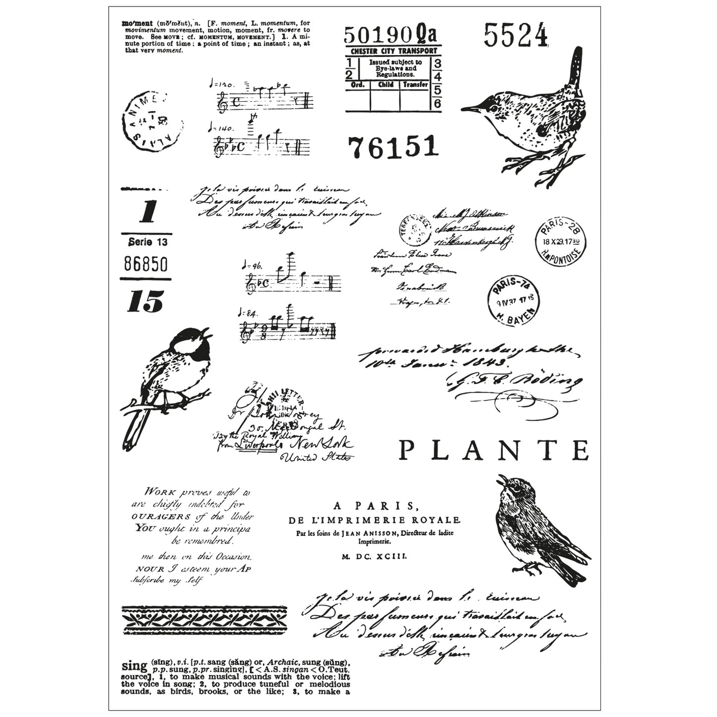 Sizzix Framelit Die Set w/Stamps - Bird Song by 49 & Market