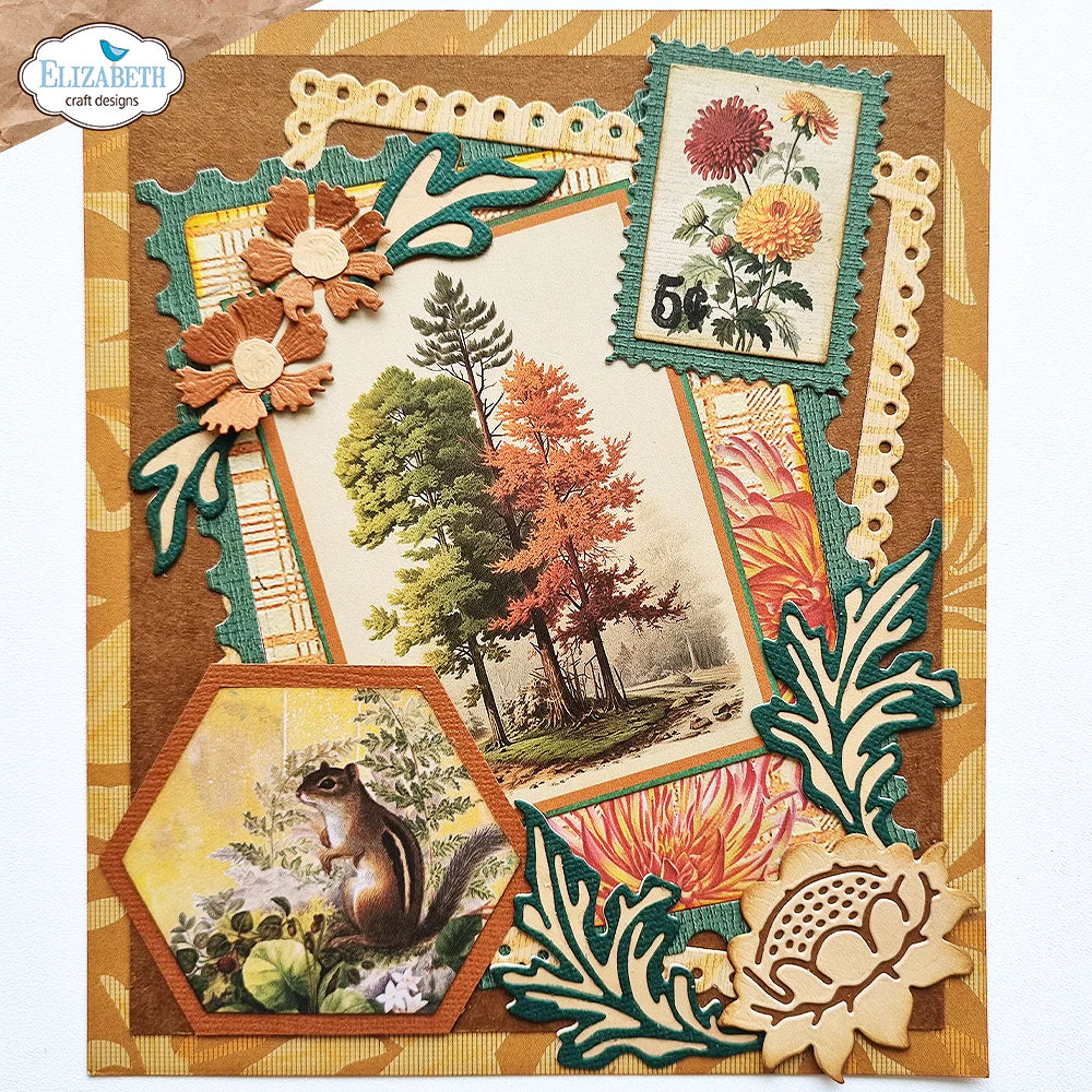 Elizabeth Craft Designs Card Maker *Special Kit* + FREE Paper