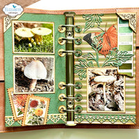 Elizabeth Craft Designs Card Maker *Special Kit* + FREE Paper