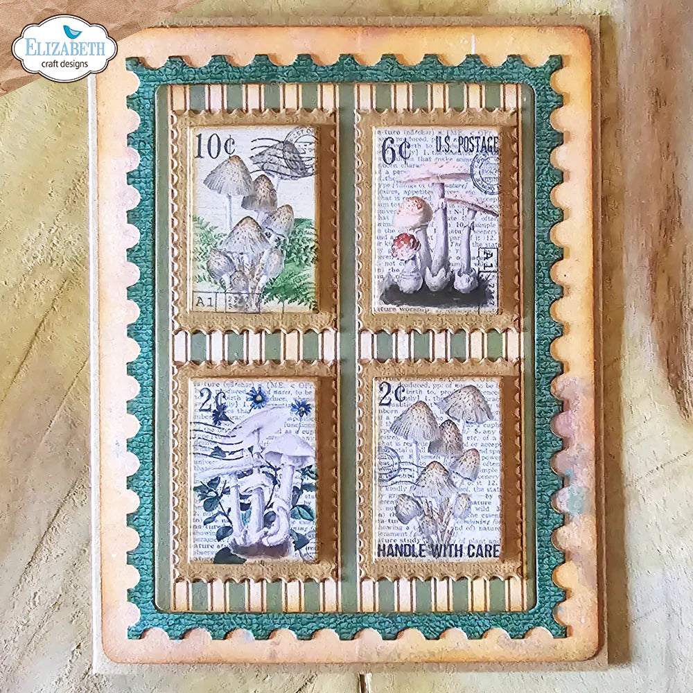 Elizabeth Craft Designs Card Maker *Special Kit* + FREE Paper