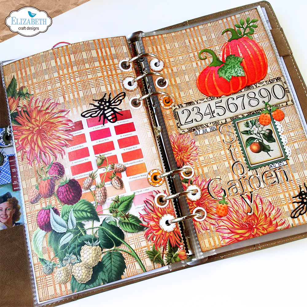 Elizabeth Craft Designs Card Maker *Special Kit* + FREE Paper