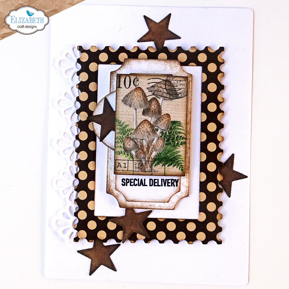 Elizabeth Craft Designs Card Maker *Special Kit* + FREE Paper