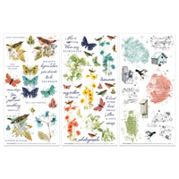 49 & Market Birdsong Blendable 6 x 12 Rub-On Transfer Set