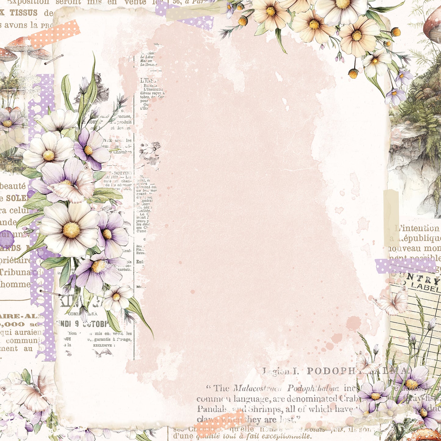 49 & Market The Looking Glass 12x12 Collection Pack