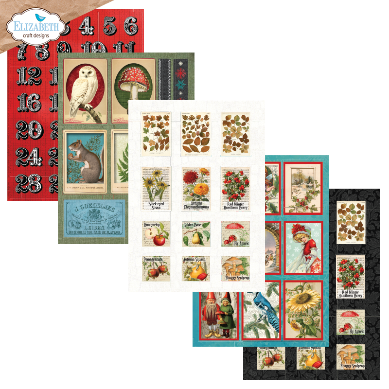 Elizabeth Craft Designs Everyday Ephemera Pack 3 (24 Sheets/5.8" x 8.3")