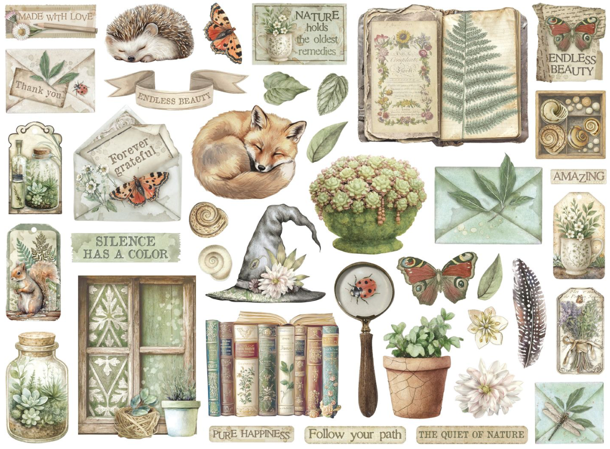 Stamperia Herbarium Silvae Die Cuts
