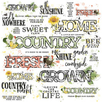 49 and Market Vintage Artistry Countryside Sentiments 12 x 12 Rub On Transfer Sheet