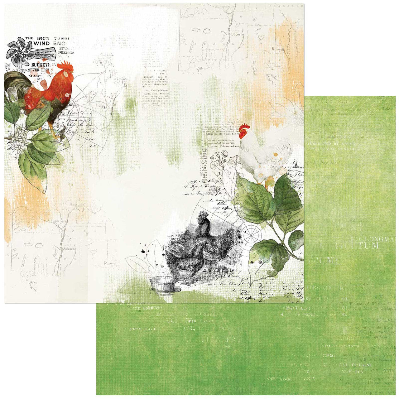49 And Market Collection Pack 12X12-Vintage Artistry Countryside