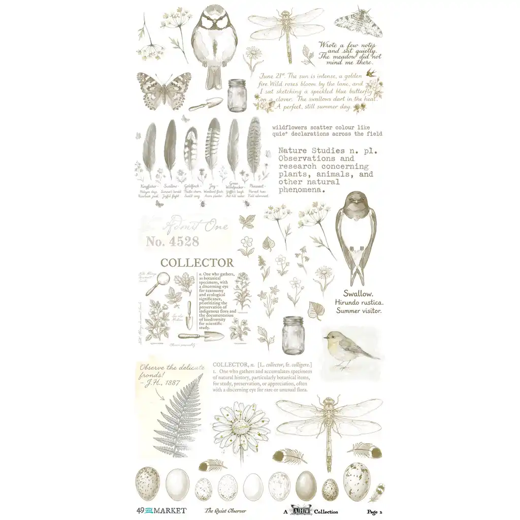 49 & Market The Quiet Observer 6 x 12 Essential Rub-on Transfer Set