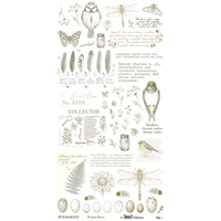 49 & Market The Quiet Observer 6 x 12 Essential Rub-on Transfer Set