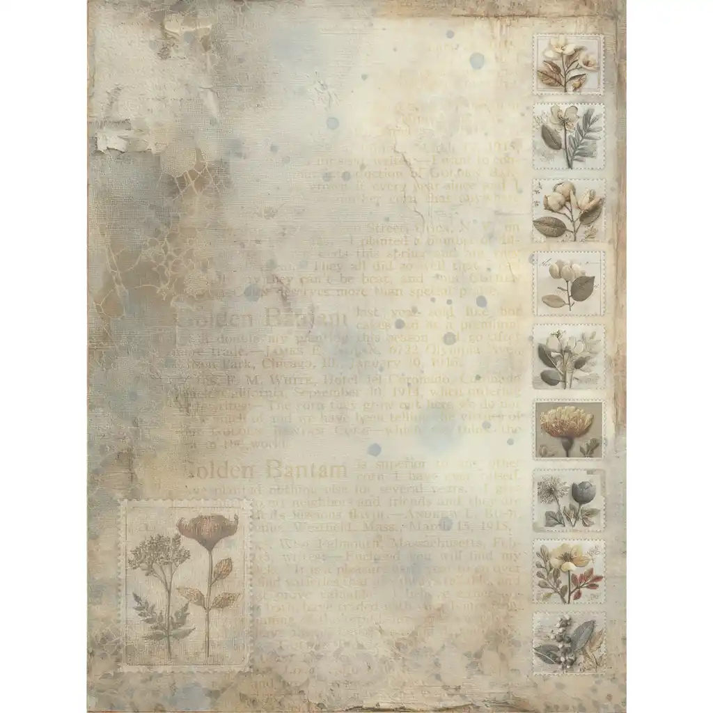 49 & Market Faded Memory Lane 6 x 8 Collection Pack