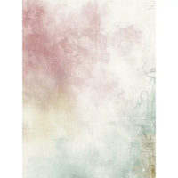 49 & Market The Quiet Observer 6 x 8 collection Pack