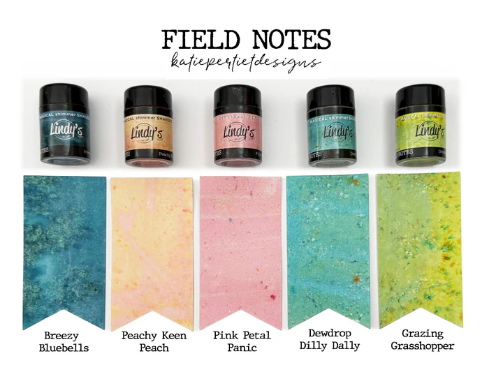 Lindy's Gang Field Notes by Katie Pertiet Magical Shimmer Shakers (5 Pk)