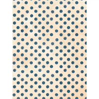 49 & Market Mouse & Co. 6 x 8 Collection Pack