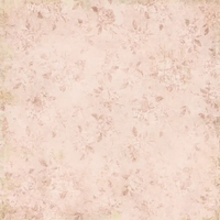 49 & Market From The Garden 12x12 Solids Collection Pack