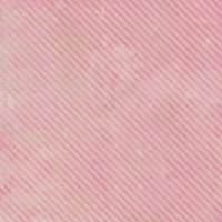 49 & Market From The Garden 12x12 Collection Pack