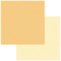 49 & Market Glimmer and Glee 12x12 Solids Collection Pack