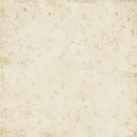 49 & Market From The Garden 12x12 Solids Collection Pack