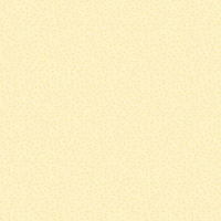 49 & Market Glimmer and Glee 12x12 Solids Collection Pack
