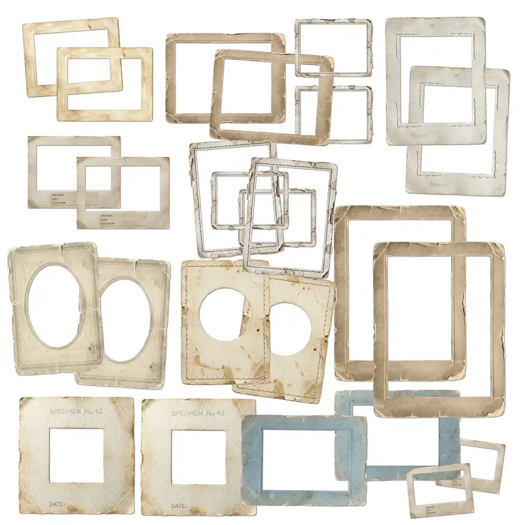 49 & Market The Quiet Observer Frame Set