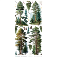 49 & Market Campfire Memories 6 x 12 Essential Rub-on Transfer Set