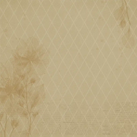 49 & Market Faded Memory Lane 12x12 Solids Collection Pack
