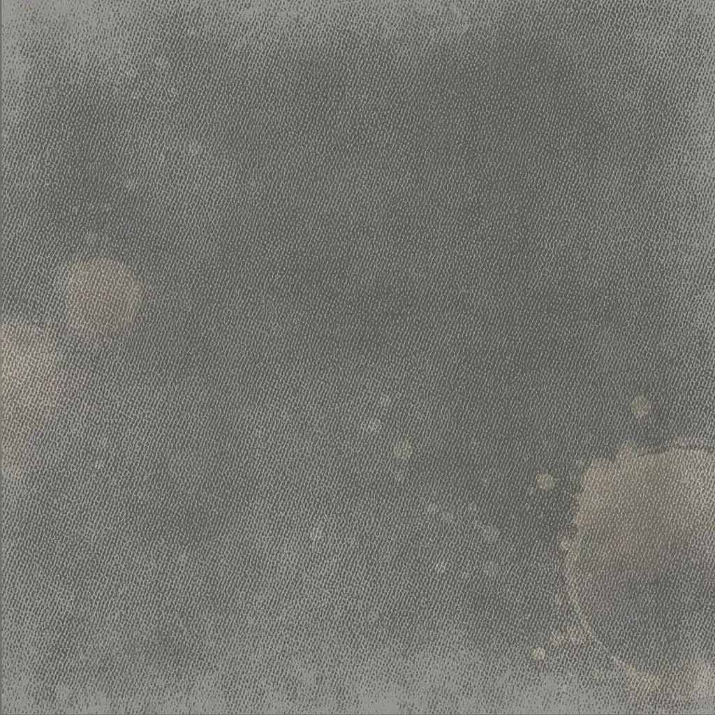 49 & Market Faded Memory Lane 12x12 Solids Collection Pack