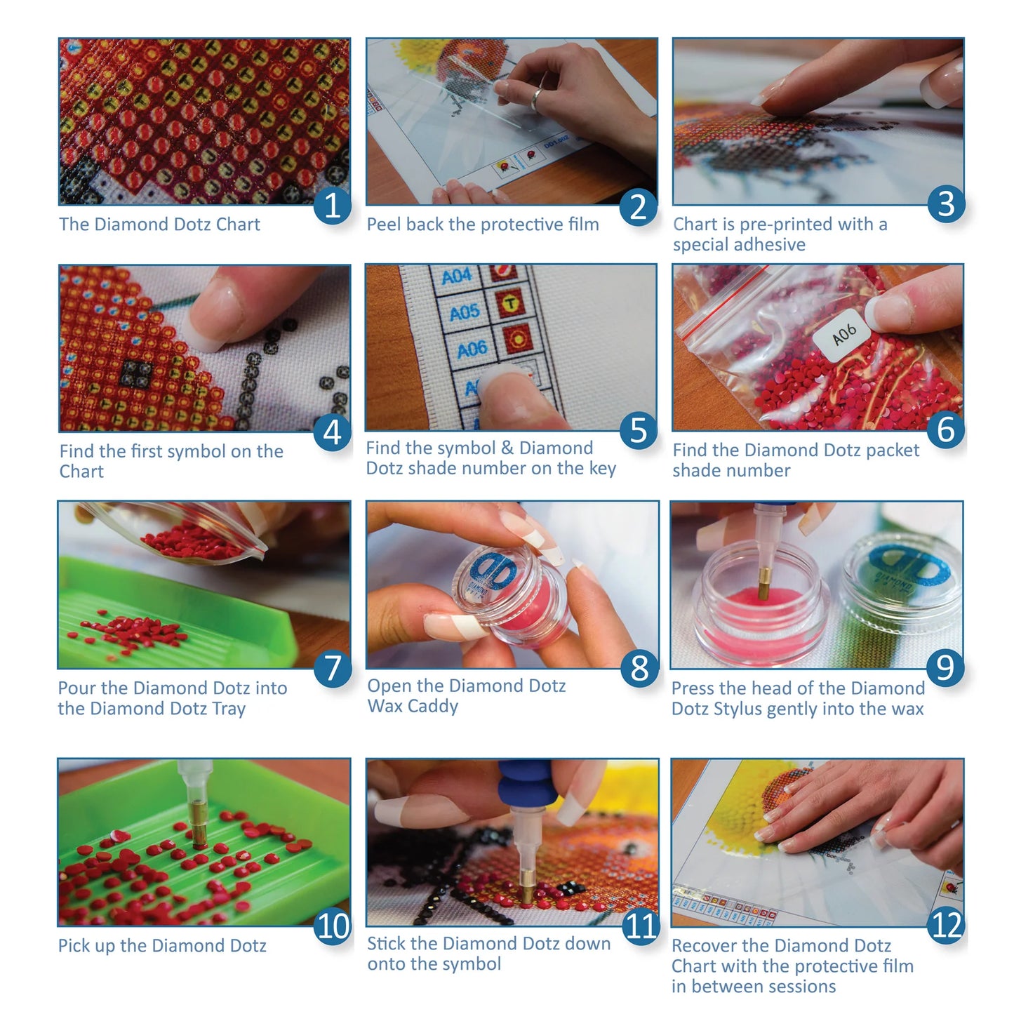 Diamond Dotz Irises (Van Gogh)