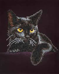 Diamond Dotz Midnight Cat - Kreative Kreations