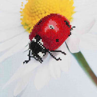 Diamond Dotz Daisy Lady - Kreative Kreations