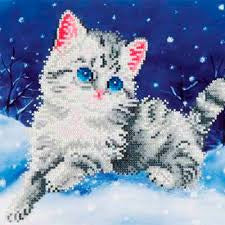 Diamond Dotz-katje in de sneeuw